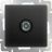 ТВ-розетка проходная Werkel W1184008 черный матовый (WL08-TV-2W)