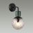 Бра Odeon Light 5026/1W Greeni