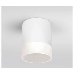 Уличный потолочный светильник Light LED 2107 IP54 Elektrostandard 35140/H белый