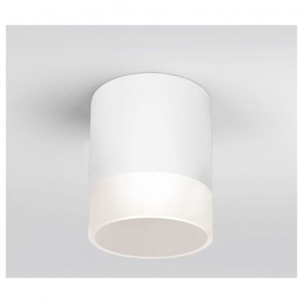 Уличный потолочный светильник Light LED 2107 IP54 Elektrostandard 35140/H белый