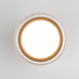 Уличный потолочный светильник Light LED 2107 IP54 Elektrostandard 35140/H белый