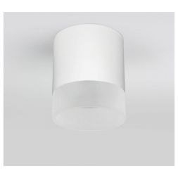 Уличный потолочный светильник Light LED 2107 IP54 Elektrostandard 35140/H белый