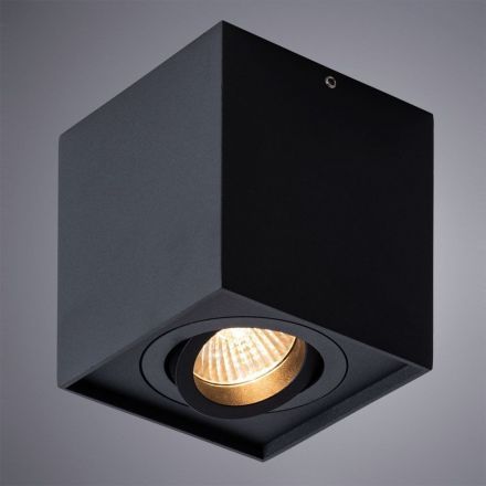 Потолочный светильник Arte Lamp A1461PL-1BK