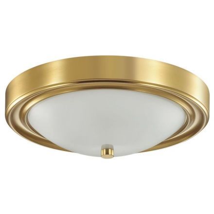 Настенно-потолочный светильник Lumion 5259/2C