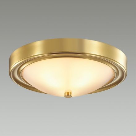 Настенно-потолочный светильник Lumion 5259/2C