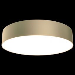 Потолочный светодиодный светильник Maytoni Technical Zon C032CL-L43MG4K