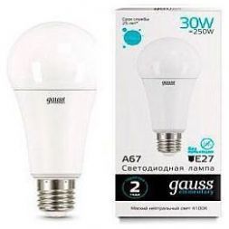 Лампа Gauss 73229 LED Elementary A67 30W E27 4100K