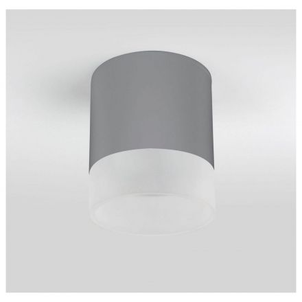 Уличный потолочный светильник Light LED 2107 IP54 Elektrostandard 35140/H серый