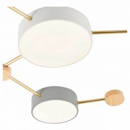 Потолочный светильник Evoluce SLE600102-06 DOSSENA