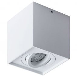 Потолочный светильник Arte Lamp A1461PL-1WH