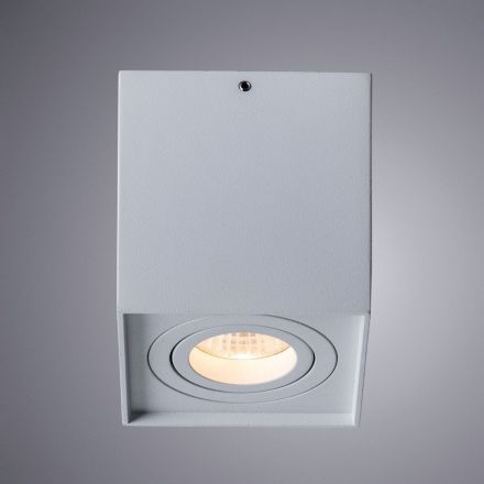 Потолочный светильник Arte Lamp A1461PL-1WH