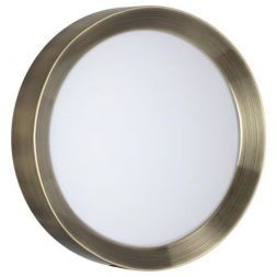 Настенный светодиодный светильник Odeon Light Lunor 4948/30CL