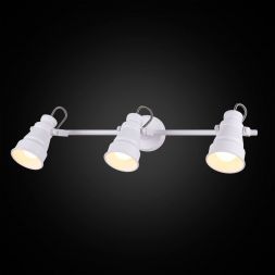 Спот Citilux Бейкер CL541530