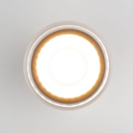 Уличный потолочный светильник Light LED 2107 IP54 Elektrostandard 35140/H черный