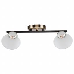 Спотовый светильник 10165/2AB+BK WT ЭкономСвет (EKONOMSVET 10165/2AB+BK WT)