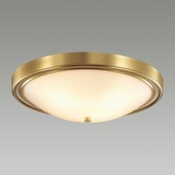 Настенно-потолочный светильник Lumion 5259/4C