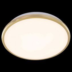 Настенно-потолочный светильник Citilux CL702222W