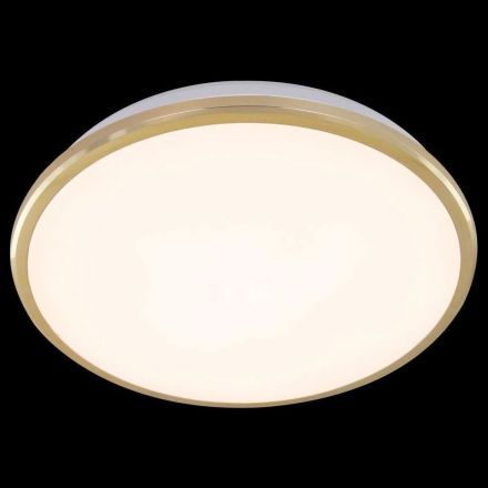 Настенно-потолочный светильник Citilux CL702222W