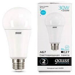 Лампа Gauss 73239 LED Elementary A67 30W E27 6500K