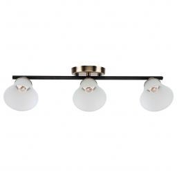 Спотовый светильник 10165/3AB+BK WT ЭкономСвет (EKONOMSVET 10165/3AB+BK WT) Спотовый светильник 10165/3AB+BK WT ЭкономСвет (EKONOMSVET 10165/3AB+BK WT)