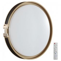 Настенно-потолочный светодиодный светильник Sonex Color Favemo Black 7667/EL