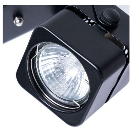 Потолочный светильник Arte Lamp A1315PL-2BK