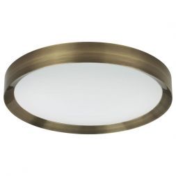 Потолочный светодиодный светильник Odeon Light Lunor 4948/60CL