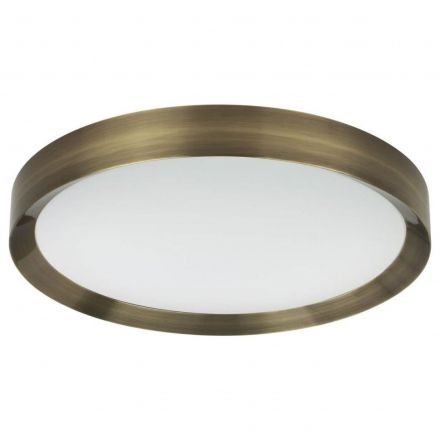 Потолочный светодиодный светильник Odeon Light Lunor 4948/60CL