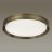 Потолочный светодиодный светильник Odeon Light Lunor 4948/60CL