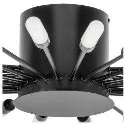 Потолочная люстра Lightstar Ragno 732287