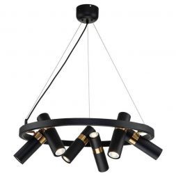 Подвесная люстра Favourite Light Point 2997-6P
