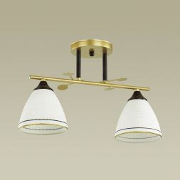 Потолочная люстра Lumion 4544/2C