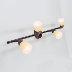 Спот Citilux CL506544