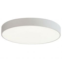 Потолочный светодиодный светильник 51295/1S WT WT ЭкономСвет