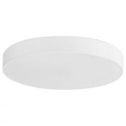 Потолочный светодиодный светильник 51295/1S WT WT ЭкономСвет