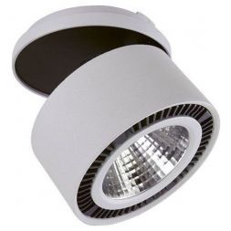 Точечный светильник Lightstar 214829