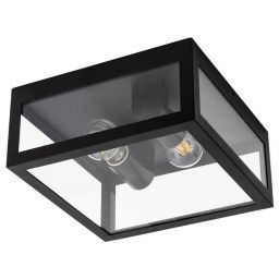 Уличный потолочный светильник Arte Lamp A4569PF-2BK (ARTE A4569PF-2BK)