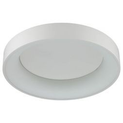 Потолочный светодиодный светильник Odeon Light Sole 4066/40CL