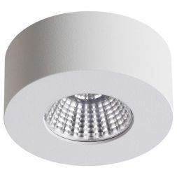 Потолочный светодиодный светильник Odeon Light Bene 4282/7CL