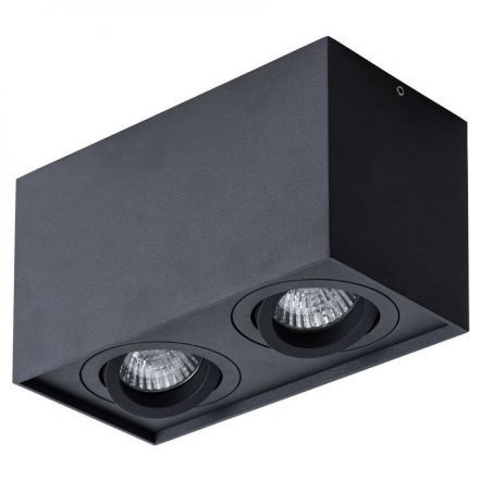 Потолочный светильник Arte Lamp A5544PL-2BK