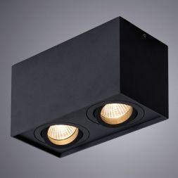 Потолочный светильник Arte Lamp A5544PL-2BK
