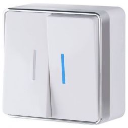 Выключатель двухклавишный с подсветкой Gallant Werkel W5020101 белый (WL15-03-03)