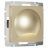Встраиваемая LED подсветка Moon (шампань) W1154411 Werkel