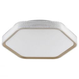 Потолочный светодиодный светильник 51299/1GD CL+WT ЭкономСвет