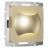 Встраиваемая LED подсветка Moon (шампань) W1154511 Werkel