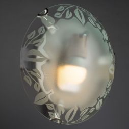 Настенно-потолочный светильник Arte Lamp A4020PL-1CC