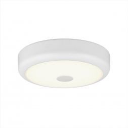 Потолочный светильник Citilux CL706120