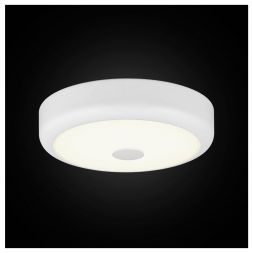 Потолочный светильник Citilux CL706120