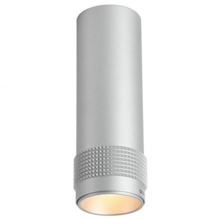 Потолочный светильник Favourite 2454-1C