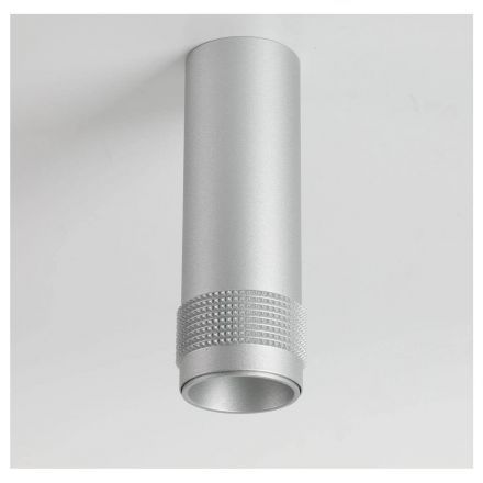 Потолочный светильник Favourite 2454-1C